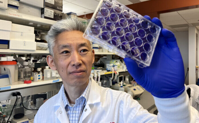 Donghoon Chung, associate professor in the Department of Microbiology & Immunology and the UofL Center for Predictive Medicine for Biodefense and Emerging Infectious Diseases